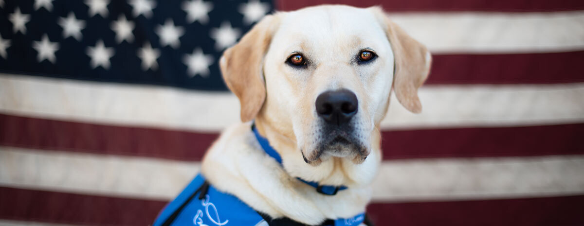 Salute Independence 2025